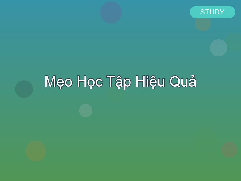 15 phút mỗi ngày thay đổi cuộc đời học tập